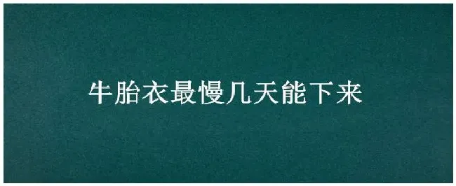 牛胎衣最慢几天能下来 | 科普知识