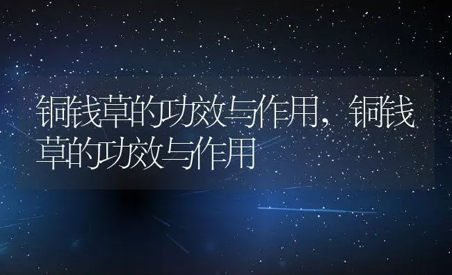铜钱草的功效与作用,铜钱草的功效与作用 | 养殖常见问题