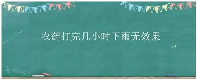 农药打完几小时下雨无效果 | 生活常识