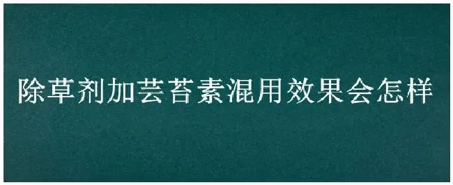 除草剂加芸苔素混用效果会怎样 | 农业答疑