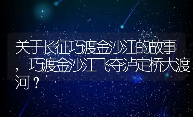 关于长征巧渡金沙江的故事,巧渡金沙江飞夺泸定桥大渡河？ | 养殖常见问题