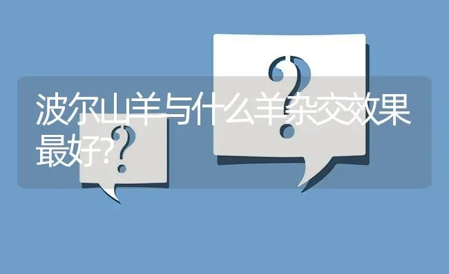 波尔山羊与什么羊杂交效果最好? | 养殖问题解答