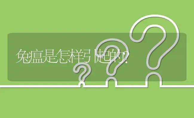 兔瘟是怎样引起的? | 养殖问题解答