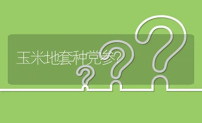 番茄上部叶片变黄? | 养殖问题解答