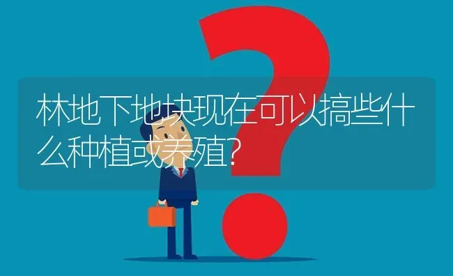 林地下地块现在可以搞些什么种植或养殖? | 养殖问题解答