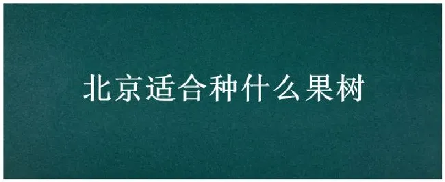 北京适合种什么果树 | 农业常识