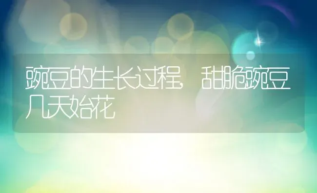 豌豆的生长过程,甜脆豌豆几天始花 | 养殖常见问题