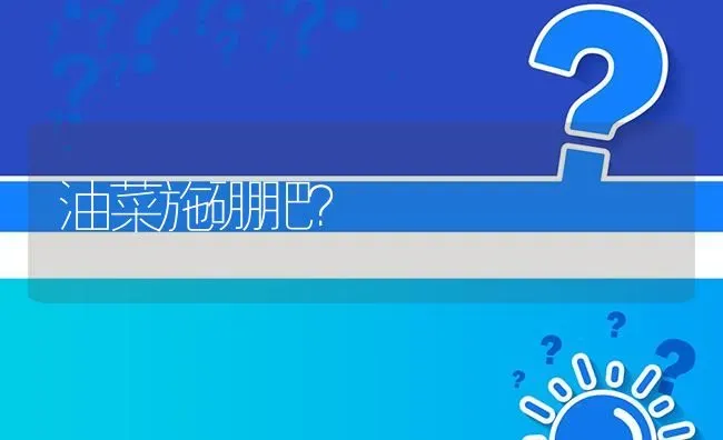 油菜施硼肥? | 养殖问题解答