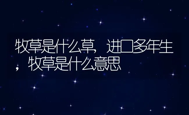 牧草是什么草,进口多年生，牧草是什么意思 | 养殖常见问题