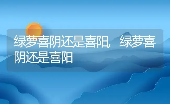 绿萝喜阴还是喜阳,绿萝喜阴还是喜阳 | 养殖常见问题