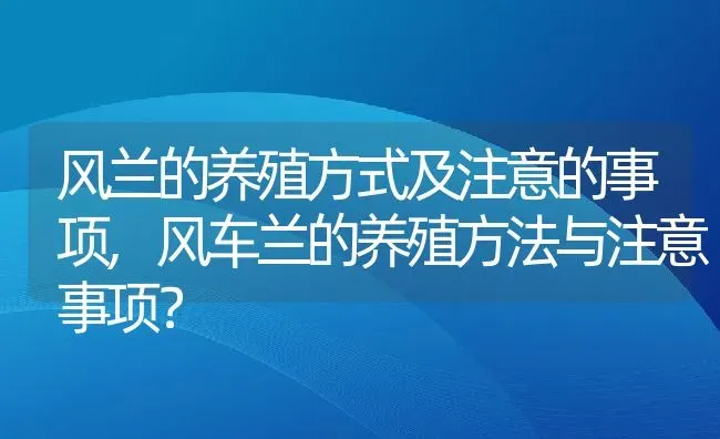 风兰的养殖方式及注意的事项,风车兰的养殖方法与注意事项？ | 养殖常见问题