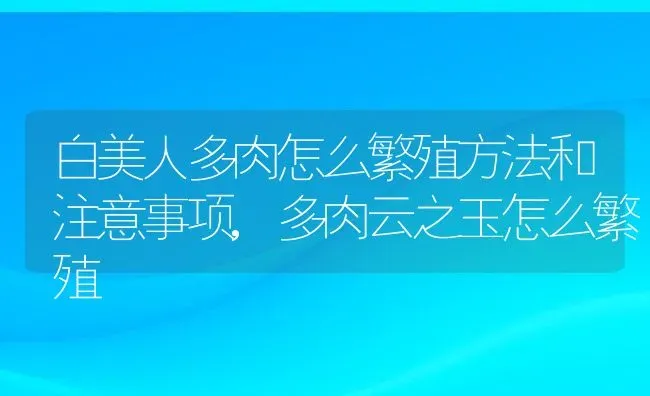 白美人多肉怎么繁殖方法和注意事项,多肉云之玉怎么繁殖 | 养殖常见问题