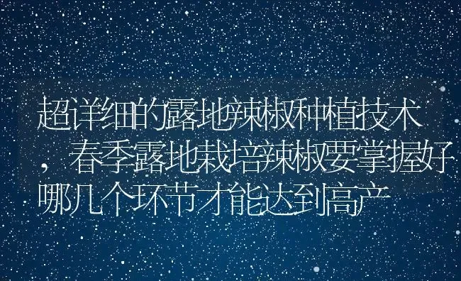 超详细的露地辣椒种植技术,春季露地栽培辣椒要掌握好哪几个环节才能达到高产 | 养殖常见问题