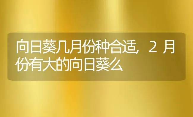 向日葵几月份种合适,2月份有大的向日葵么 | 养殖常见问题