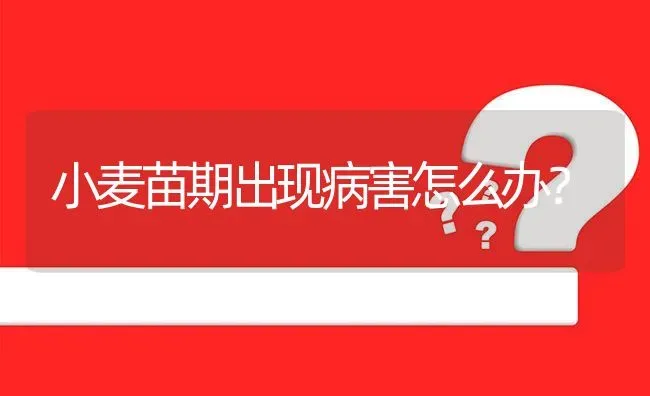 小麦苗期出现病害怎么办? | 养殖问题解答