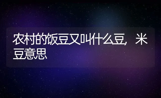 农村的饭豆又叫什么豆,米豆意思 | 养殖常见问题