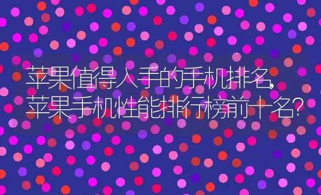 苹果值得入手的手机排名,苹果手机性能排行榜前十名？ | 养殖常见问题