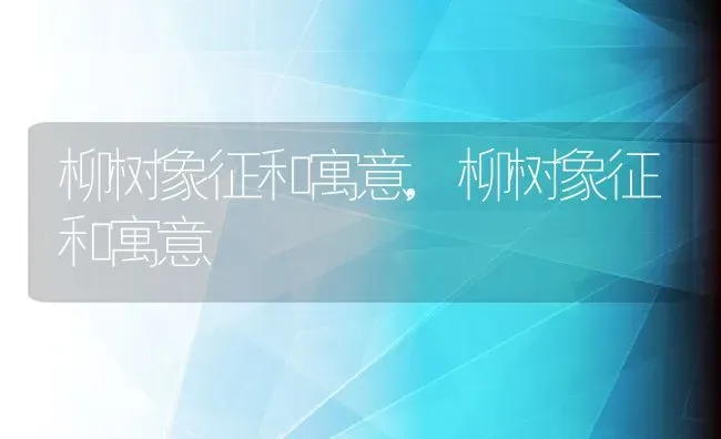 柳树象征和寓意,柳树象征和寓意 | 养殖常见问题