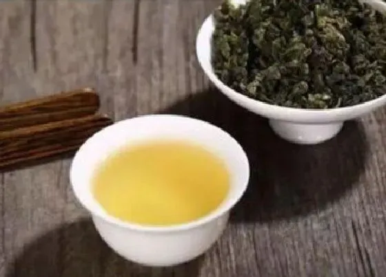 植物常识问题|茶叶的功效与作用