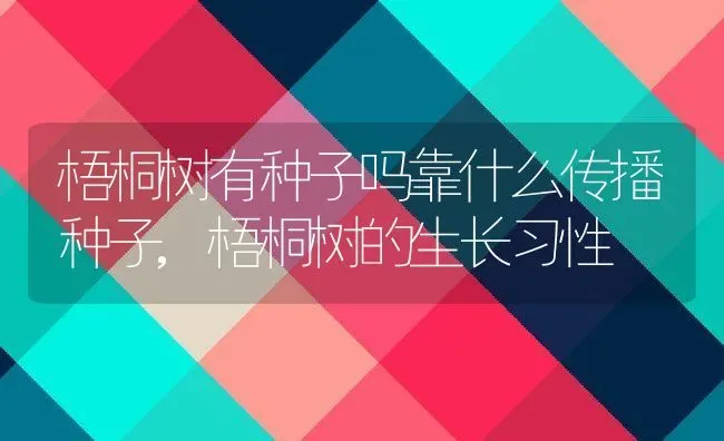 梧桐树有种子吗靠什么传播种子,梧桐树的生长习性 | 养殖常见问题