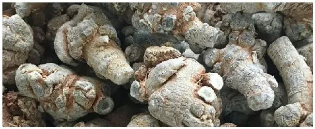 三七哪里卖 | 农业问题