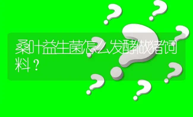 桑叶益生菌怎么发酵做猪饲料? | 养殖问题解答