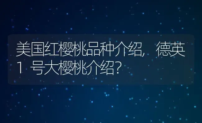 美国红樱桃品种介绍,德英1号大樱桃介绍？ | 养殖常见问题