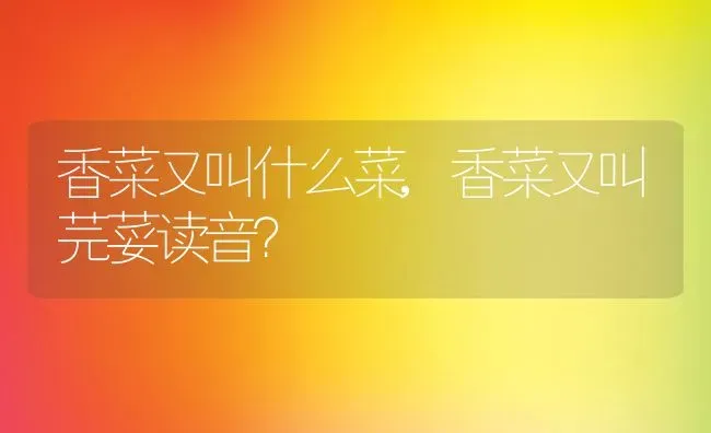 香菜又叫什么菜,香菜又叫芫荽读音？ | 养殖常见问题