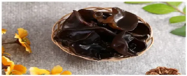 木耳是怎么长出来的怎么种植 | 农业问题