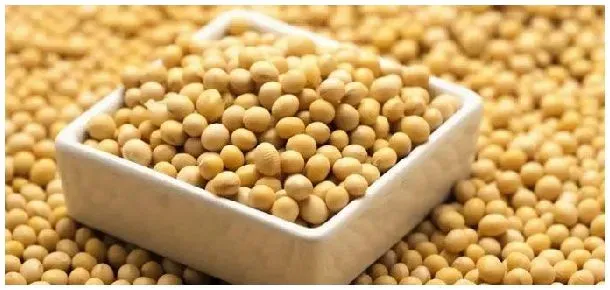大豆毛豆黄豆的区别 | 三农答疑