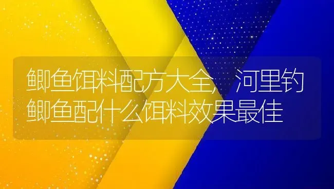 鲫鱼饵料配方大全,河里钓鲫鱼配什么饵料效果最佳 | 养殖常见问题