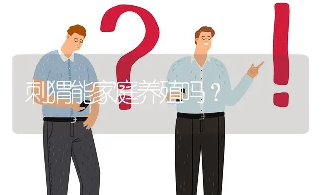 刺猬能家庭养殖吗? | 养殖问题解答