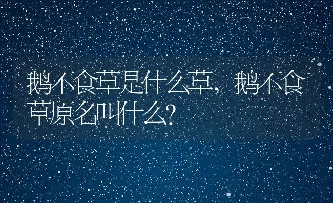 鹅不食草是什么草,鹅不食草原名叫什么？ | 养殖常见问题