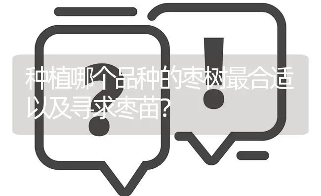 种植哪个品种的枣树最合适以及寻求枣苗? | 养殖问题解答