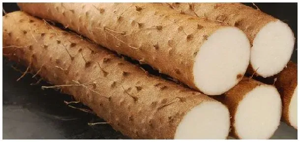 山药含淀粉吗 | 科普知识