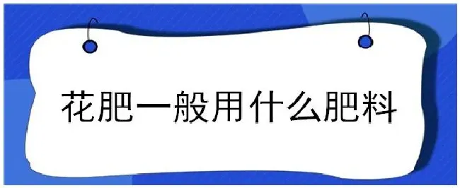 花肥一般用什么肥料 | 农业答疑