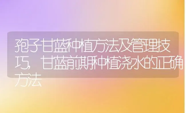 孢子甘蓝种植方法及管理技巧,甘蓝前期种植浇水的正确方法 | 养殖常见问题