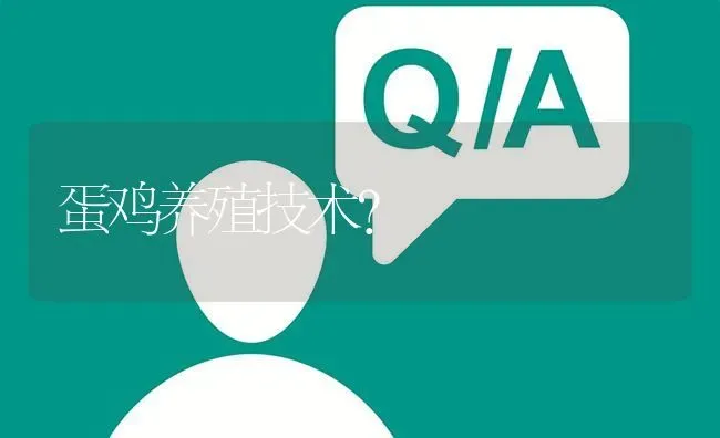蛋鸡养殖技术? | 养殖问题解答