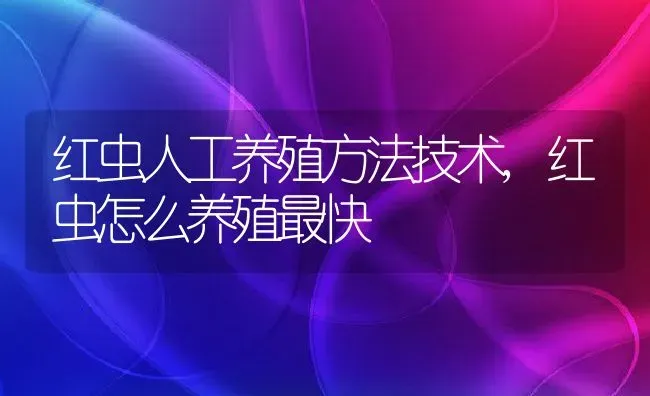 红虫人工养殖方法技术,红虫怎么养殖最快 | 养殖常见问题