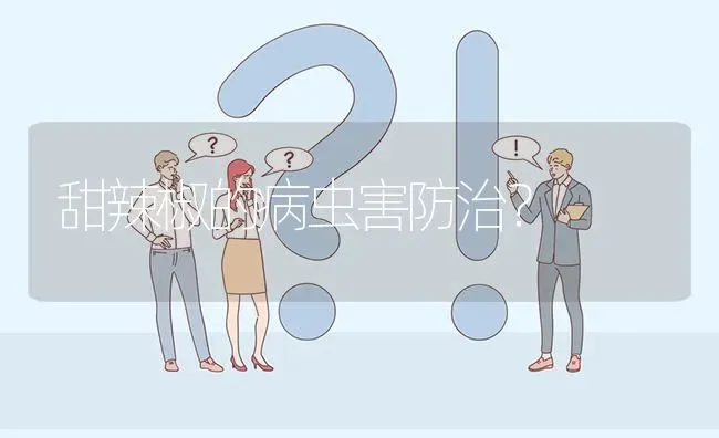 甜辣椒的病虫害防治? | 养殖问题解答