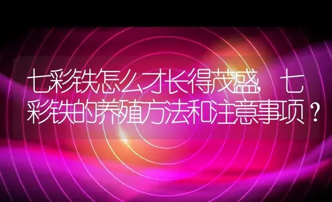 七彩铁怎么才长得茂盛,七彩铁的养殖方法和注意事项？ | 养殖常见问题