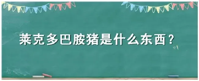 莱克多巴胺猪是什么东西 | 科普知识