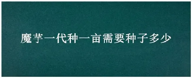 魔芋一代种一亩需要种子多少 | 科普知识