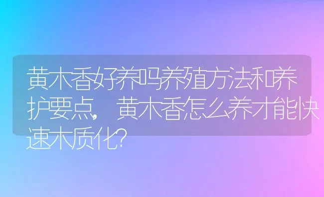 黄木香好养吗养殖方法和养护要点,黄木香怎么养才能快速木质化？ | 养殖常见问题