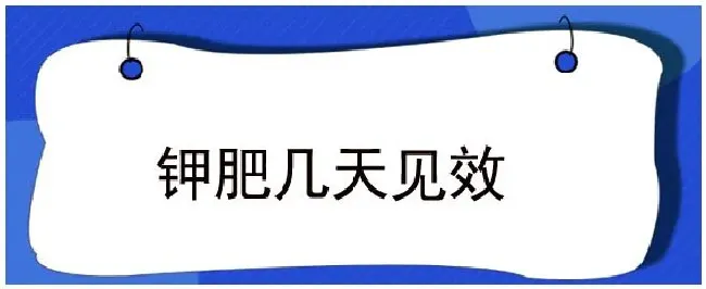 钾肥几天见效 | 农业问题
