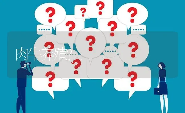 肉牛养殖? | 养殖问题解答