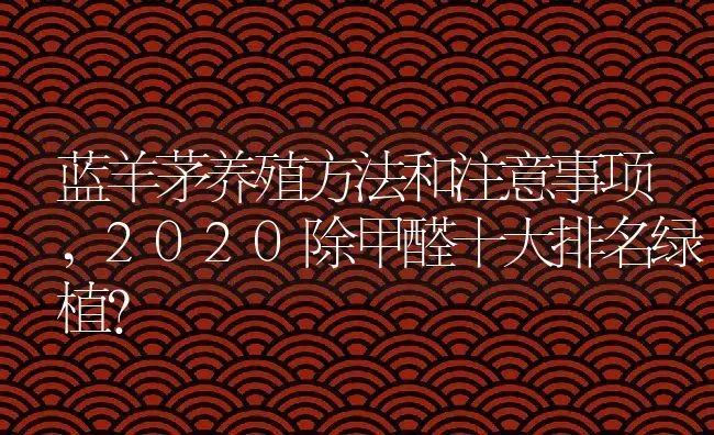 蓝羊茅养殖方法和注意事项,2020除甲醛十大排名绿植？ | 养殖常见问题