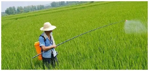 有机磷农药对胆碱酯酶的抑制属于 | 三农答疑
