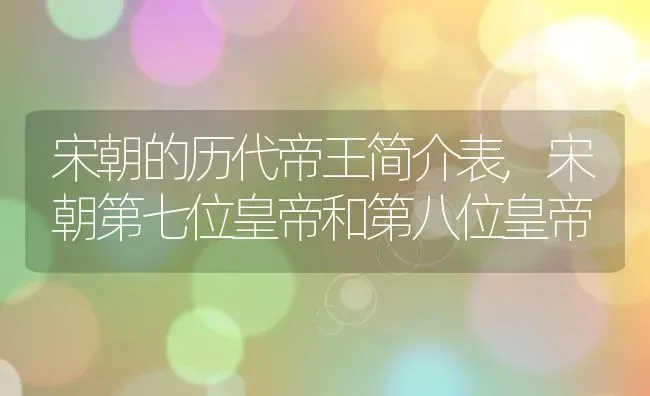 宋朝的历代帝王简介表,宋朝第七位皇帝和第八位皇帝 | 养殖常见问题