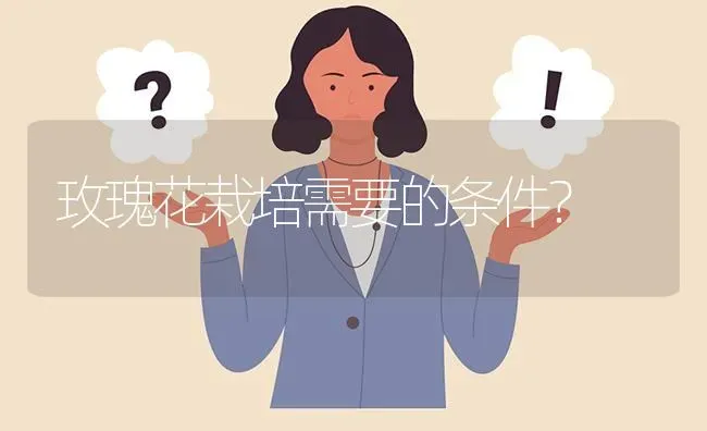 玫瑰花栽培需要的条件? | 养殖问题解答